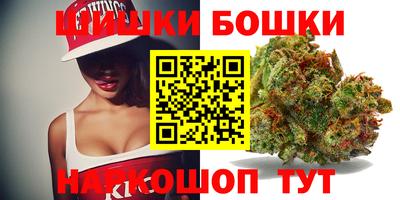 гидропоника Партизанск