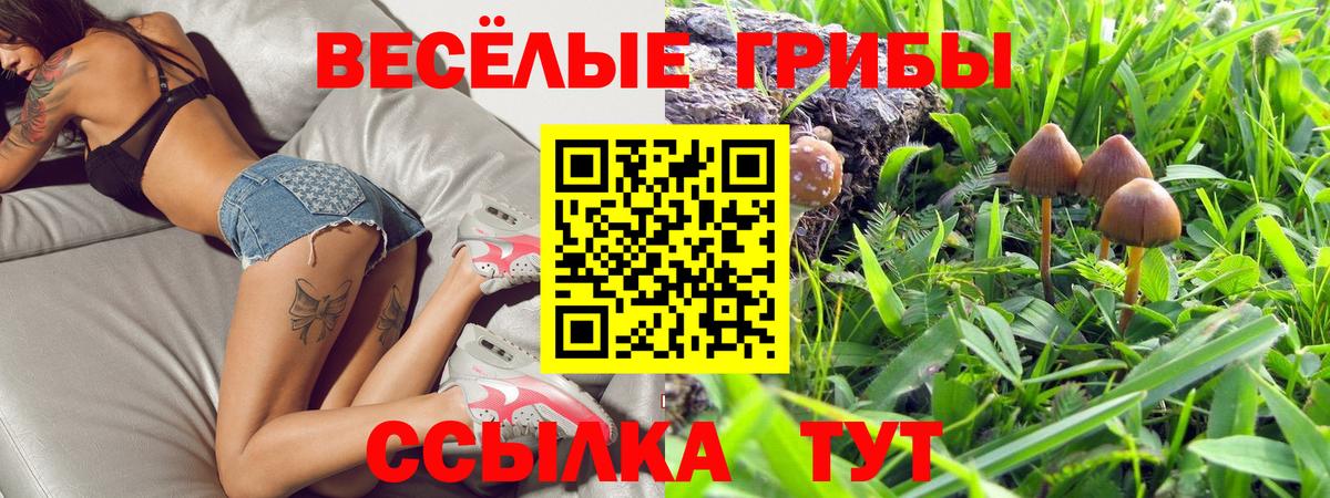 Галлюциногенные грибы ЛСД  Вход с VPN  Галлюциногенные грибы Psilocybe  Сургут 